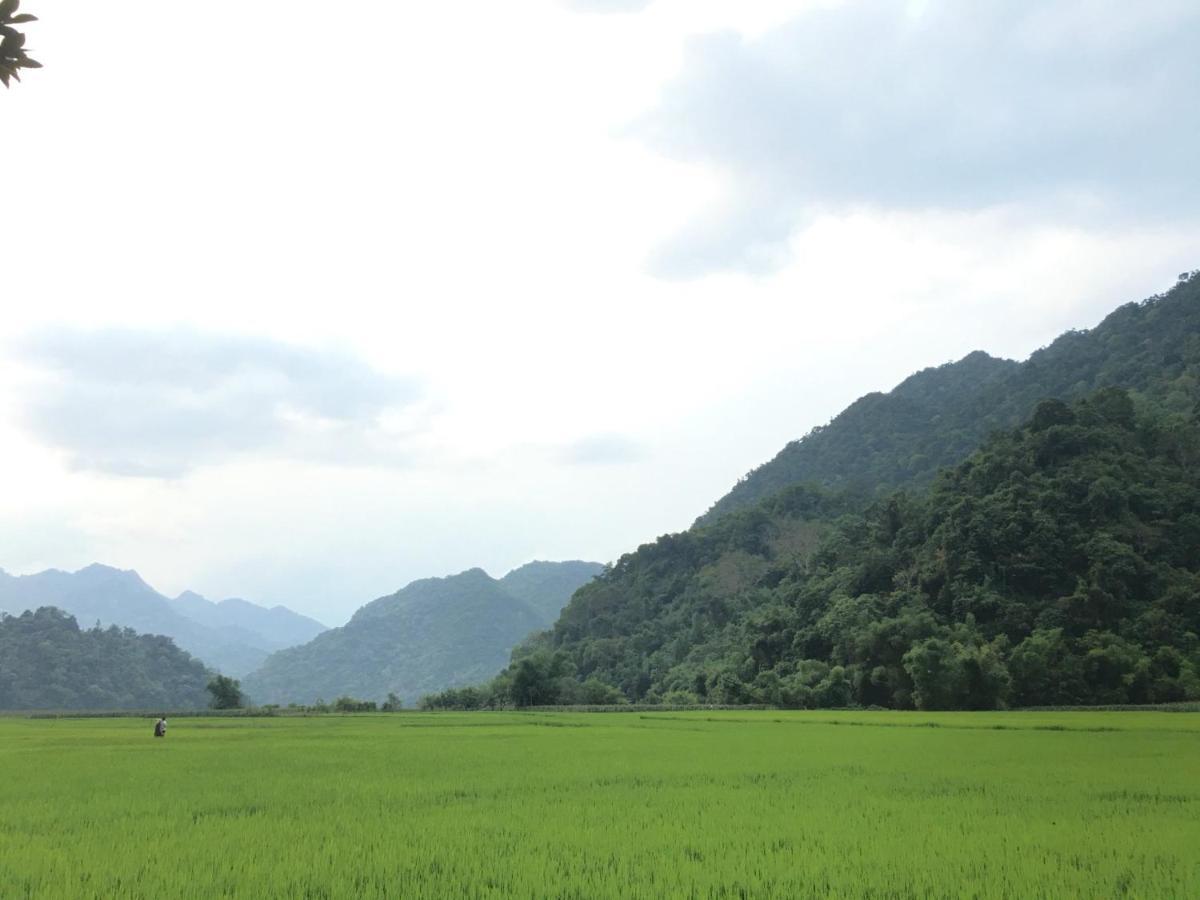 Hoang Quan Homestay Ba Be エクステリア 写真